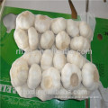 Fresh Garlic Of Chinese Vegetable Seeds With Low Wholesale Price